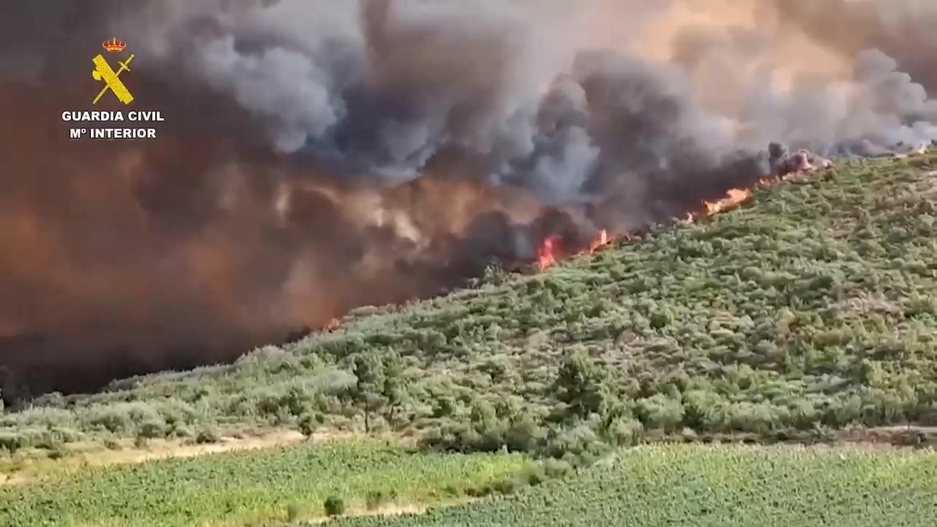 남유럽 산불 확산에 사상자 속출…수천 명 대피