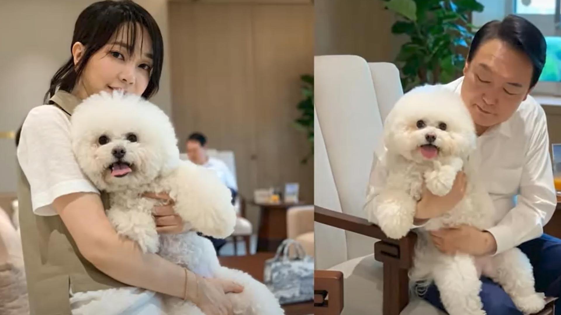 尹 사저에 반려동물 11마리…카지노배팅법 측근들이 돌보기로