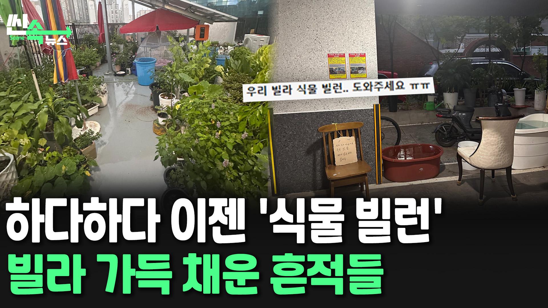 [씬속온라인카지노 후기 벳무브] 여기가 식물원이야 집이야…빌라에 '식물 빌런'이 나타났다?!