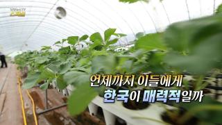 [연합뉴스TV 스페셜] 390회 : 언제까지 이들에게 한국이 매력적일까