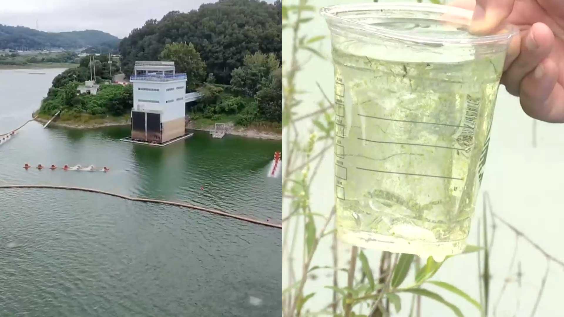 충청 식수원 <em class='find'온라인카지노 처벌</em 녹조 확산…"연일 폭염·폭우 영향"