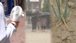 폭염·폭우·가뭄 동시에…더 뚜렷해진 날씨 양극화