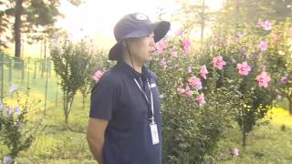 [출근길인터뷰] '나라꽃' <em class='find'온라인카지노 후기 유니88</em, 알고 보니 탄소흡수 효과도 탁월