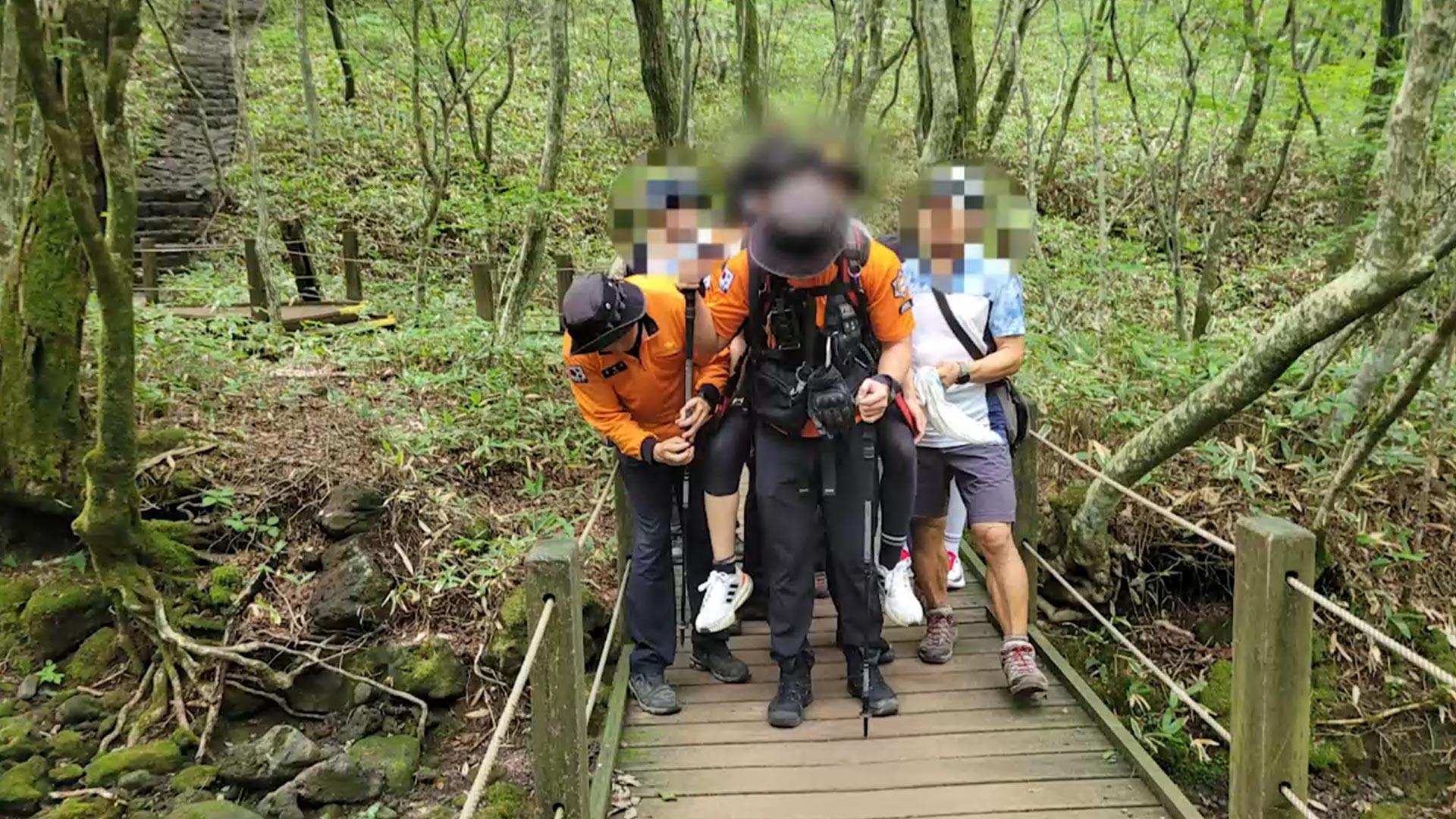 온라인카지노 합법 사이트 등산객 30여명 말벌 쏘여…10대 이송