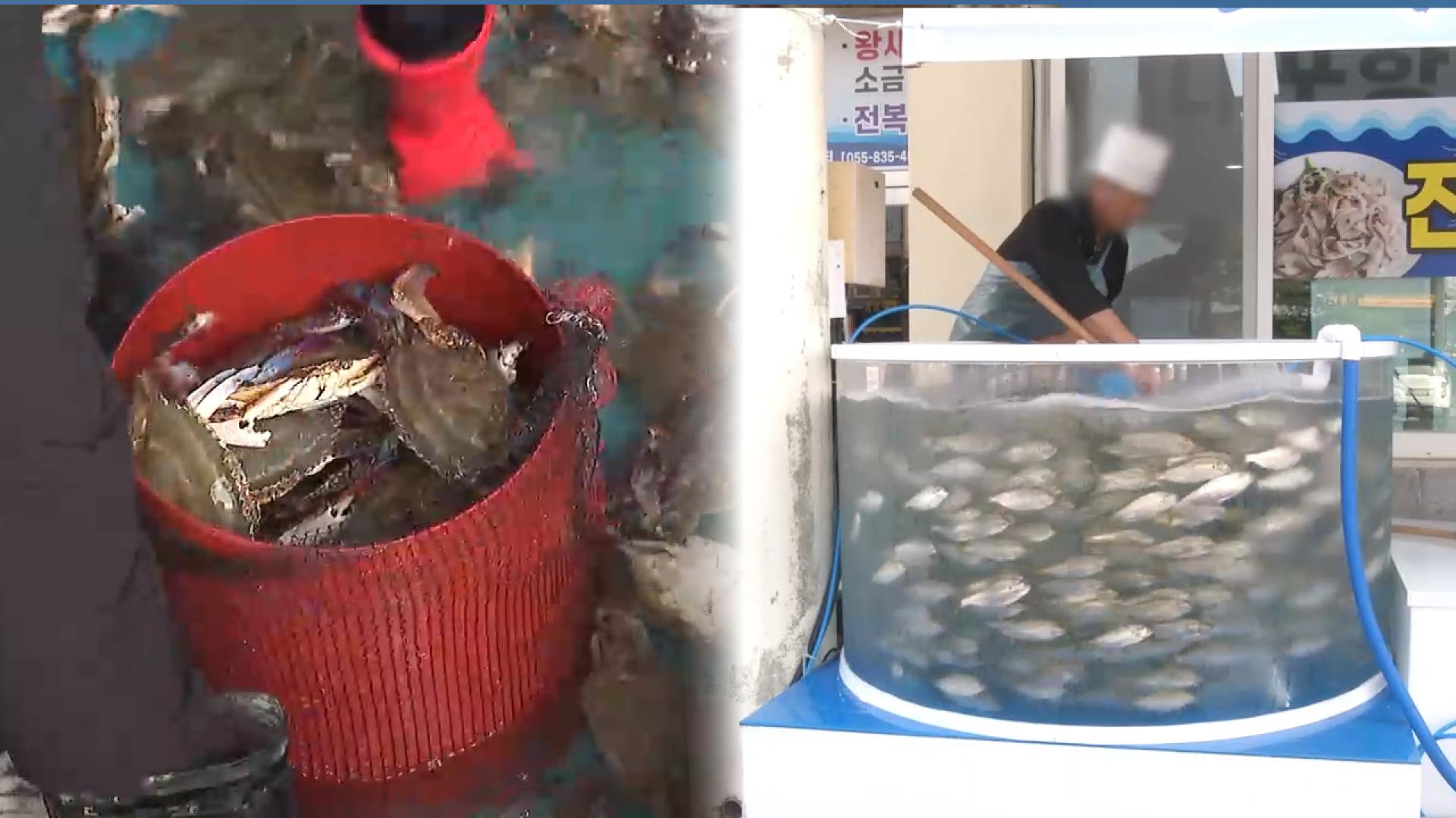 올가을 꽃게 위판량 10년 중 최다…전어 가격도 내려