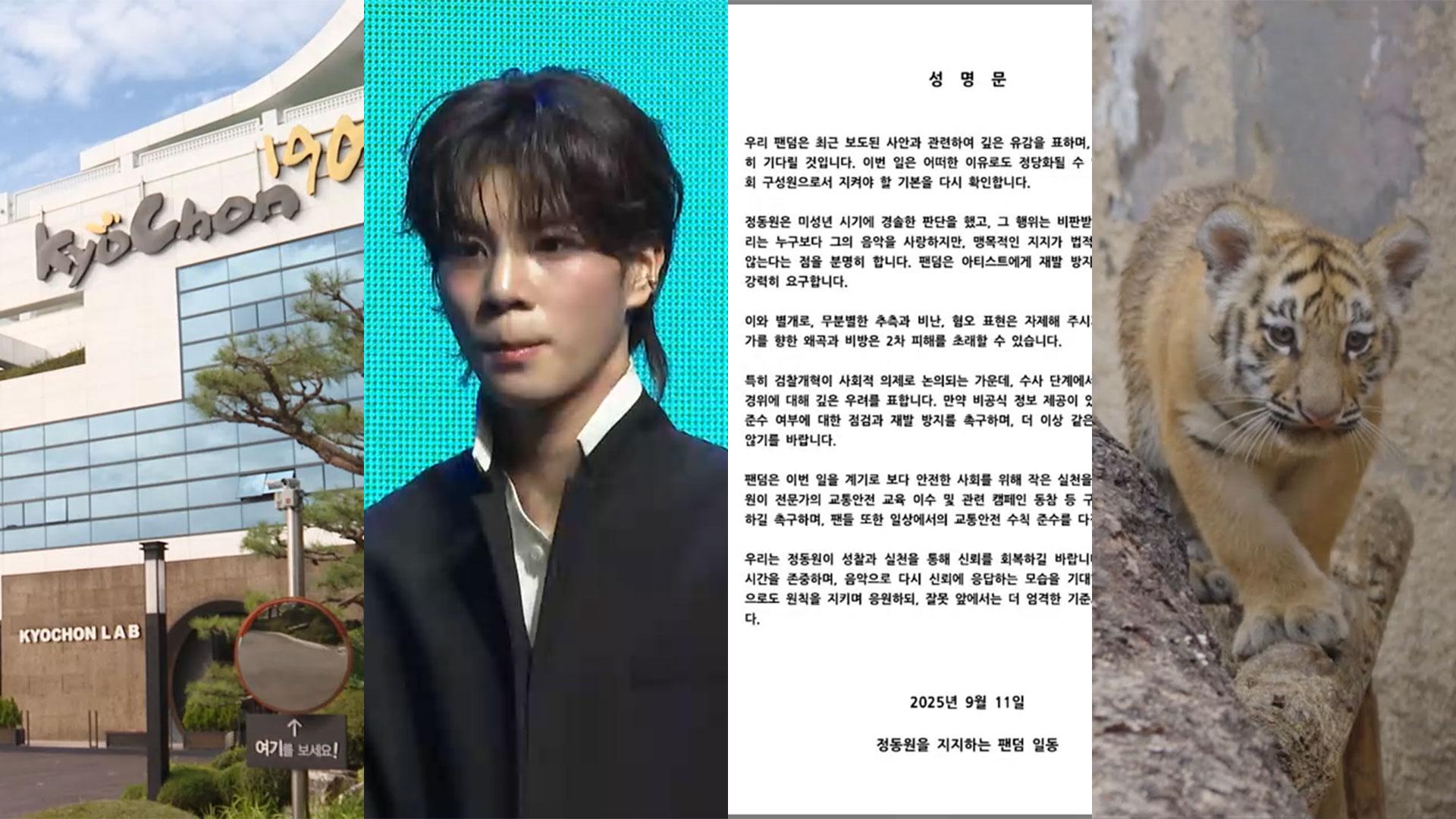 [핫클릭] 교촌 순살치킨, 닭가슴살 섞고 양 30% 줄여 外