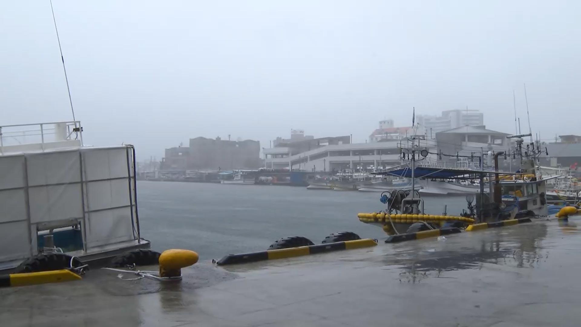 반갑다 호우…'강릉 100㎜' 올해 최다 강수량