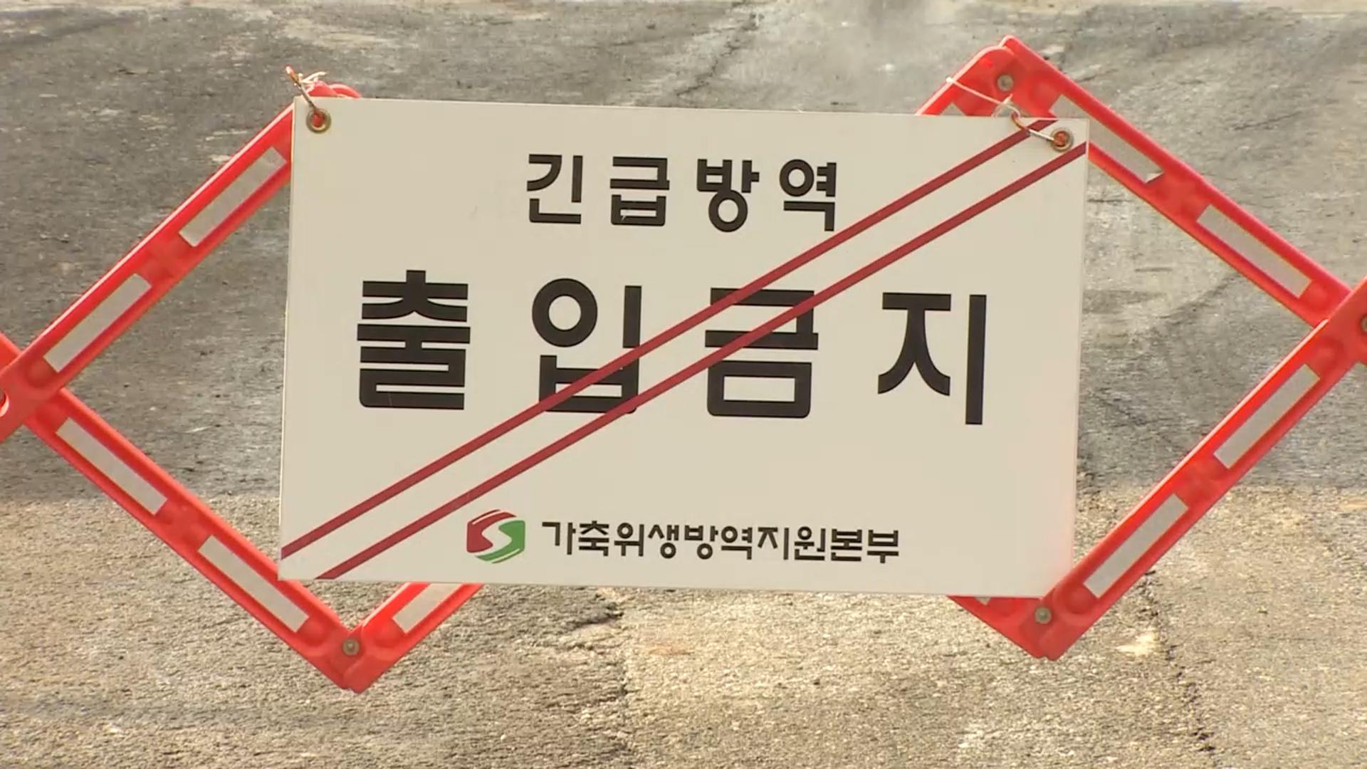 경기 파주 닭농장서 올 시즌 첫 고병원성 AI 발생