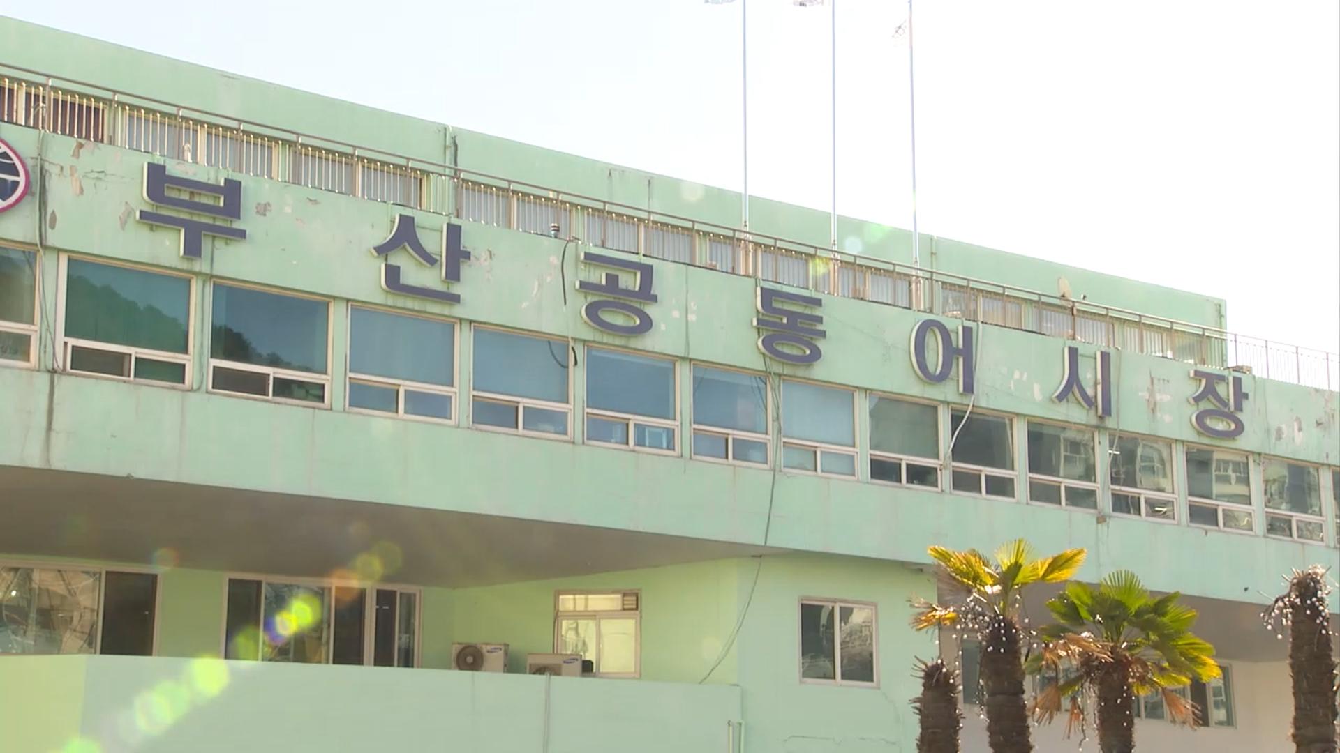 50년 넘은 부산공동어시장, 연말 현대화 사업 시작