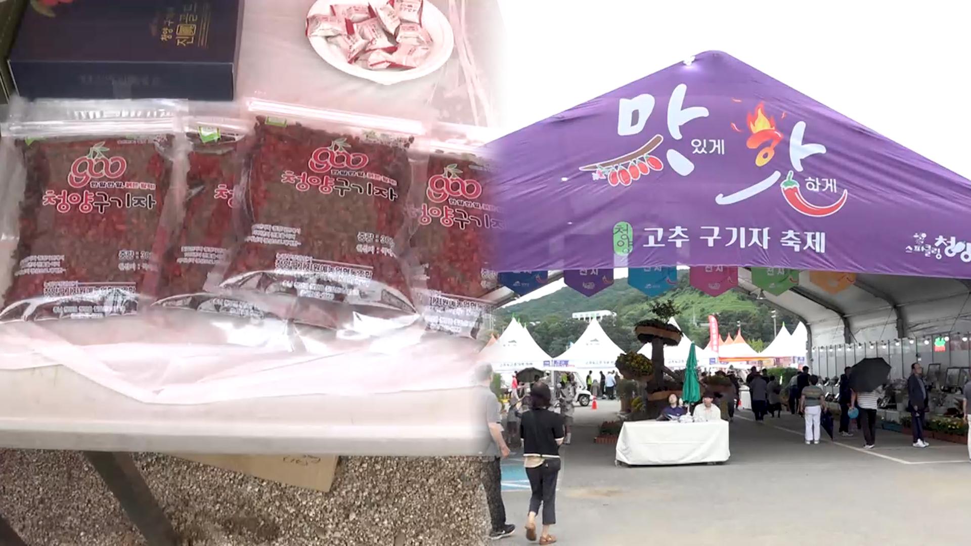 "청정 농산물 맛보세요"…<em class='find'온라인카지노 벳엔드</em 고추·구기자 축제 개막