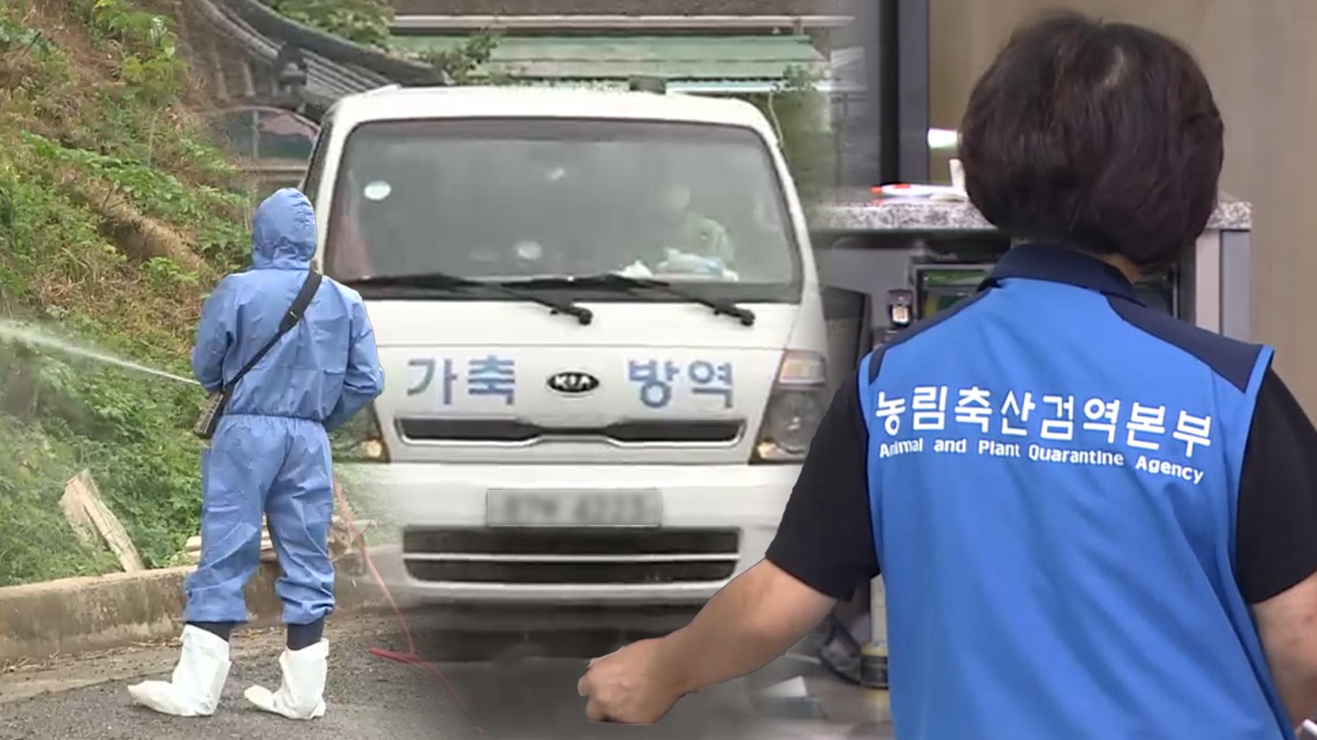 "닭·돼지·소 지켜라"…내달부터 가축전염병 특별방역기간