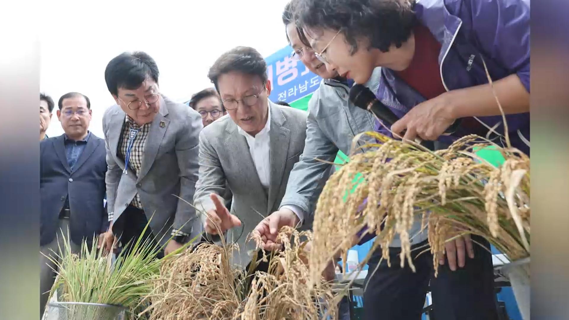김 총리, 전남 장흥 '벼 깨씨무늬병' 피해 점검