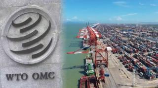 트럼프 관세에…내년 세계 무역성장률 0%대