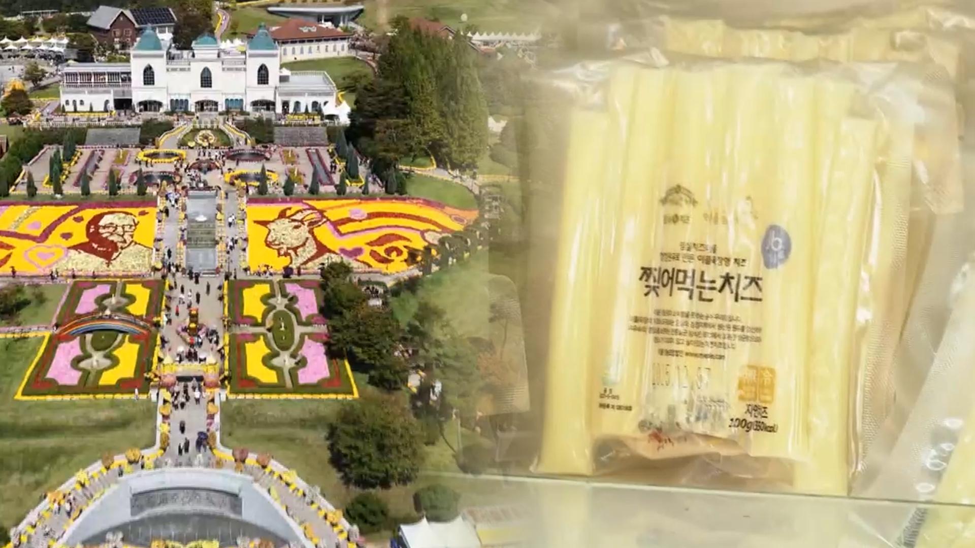 천만송이 국화와 <em class='find'치즈</em 향연…11회 임실N치즈온라인카지노 소울카지노