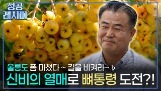 울릉도의 특산물로 지역 경제를 이끄는 건강식품 기업의 <em class='find'온라인카지노 후기 벳엔드</em 비법은?