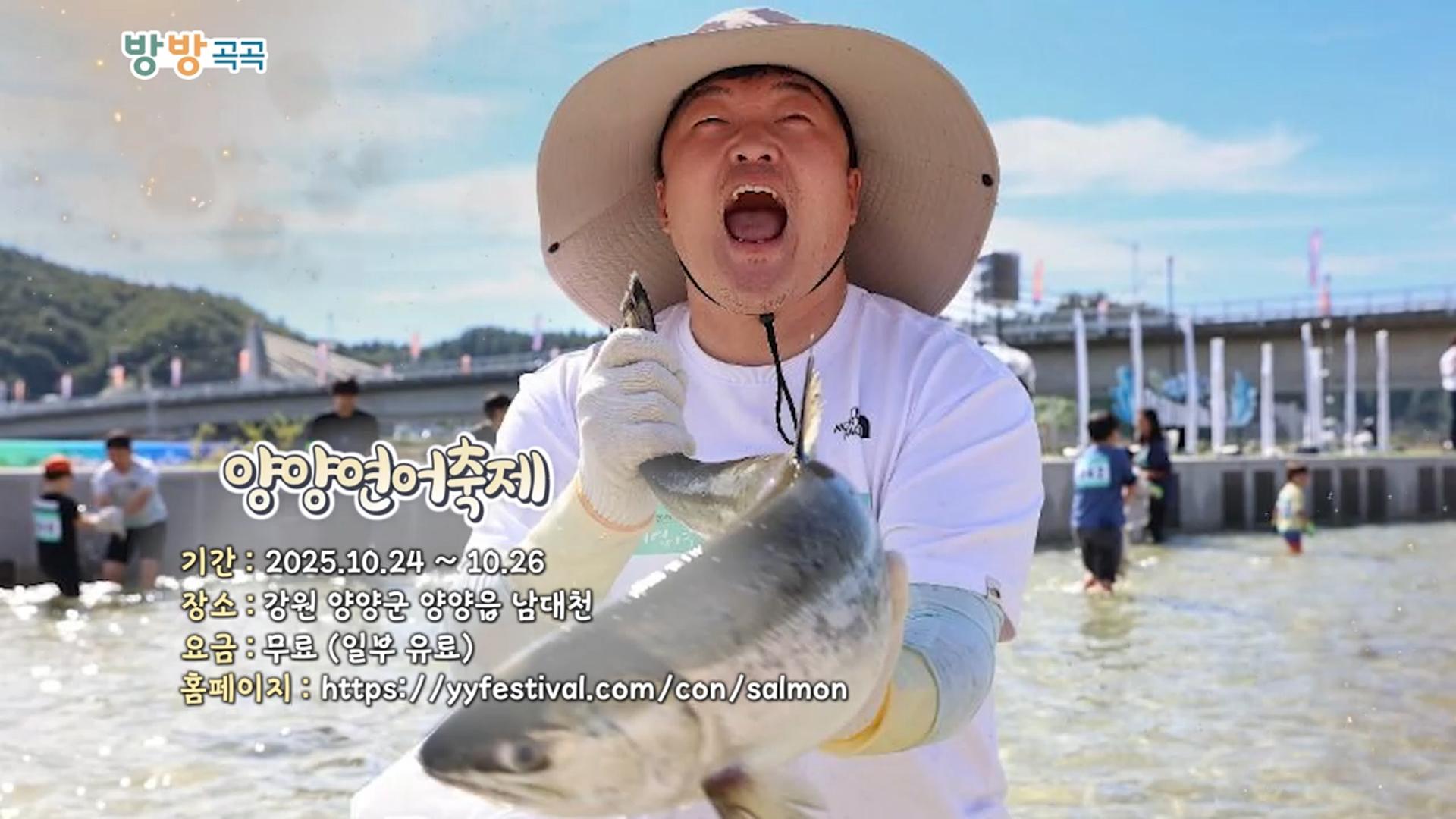 [영상구성] 방방곡곡