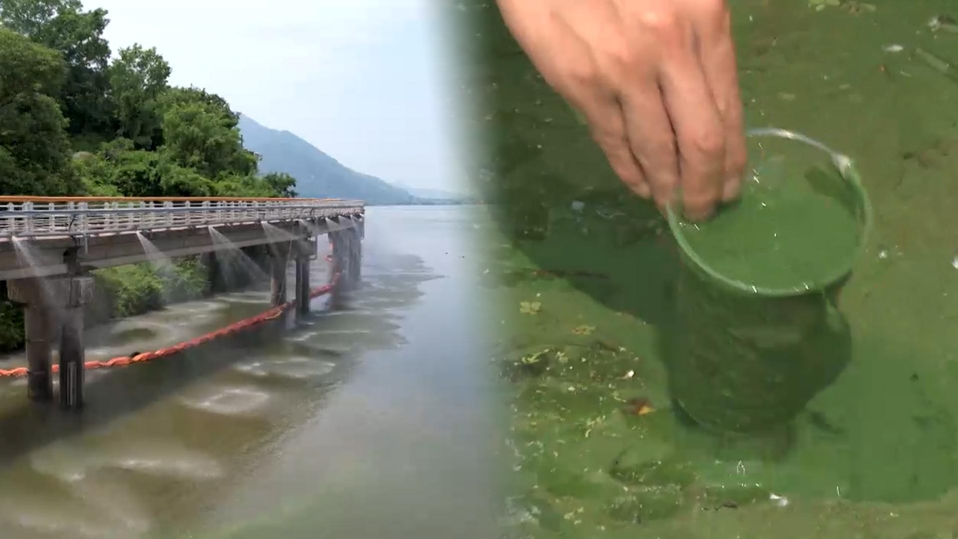 "보 해체" vs "전면 반대"…4대강 재자연화 어떻게?