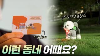 이런 도시 어때요?