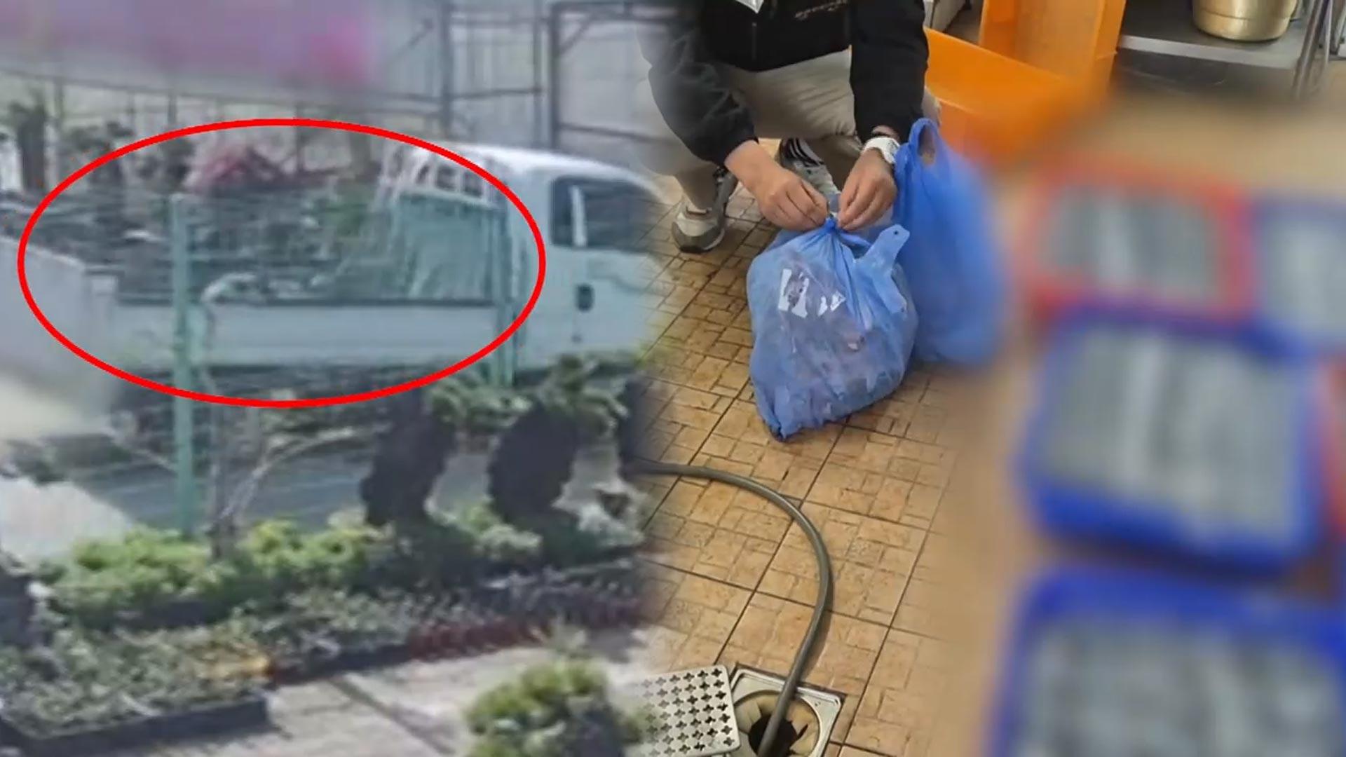 제주 불법 도축장 적발…병든 온라인카지노 검증까지 ‘즙으로’