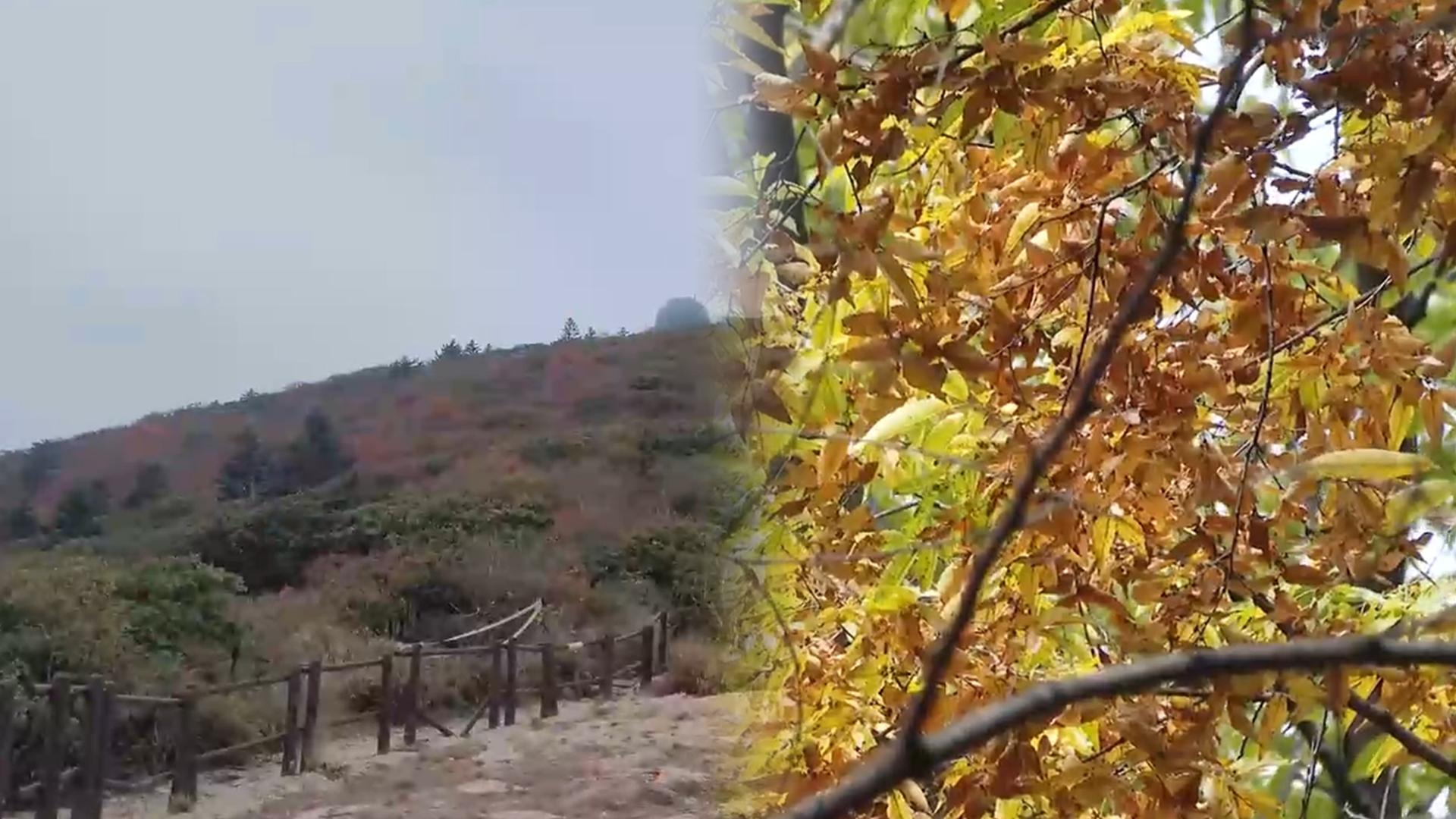 설악산 온라인카지노 알파벳 절정…다음 주 다시 초겨울 '한파특보'