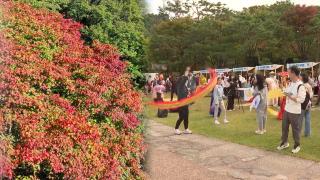 완연한 가을 날씨에 단풍 가득…나들이객 '북적'