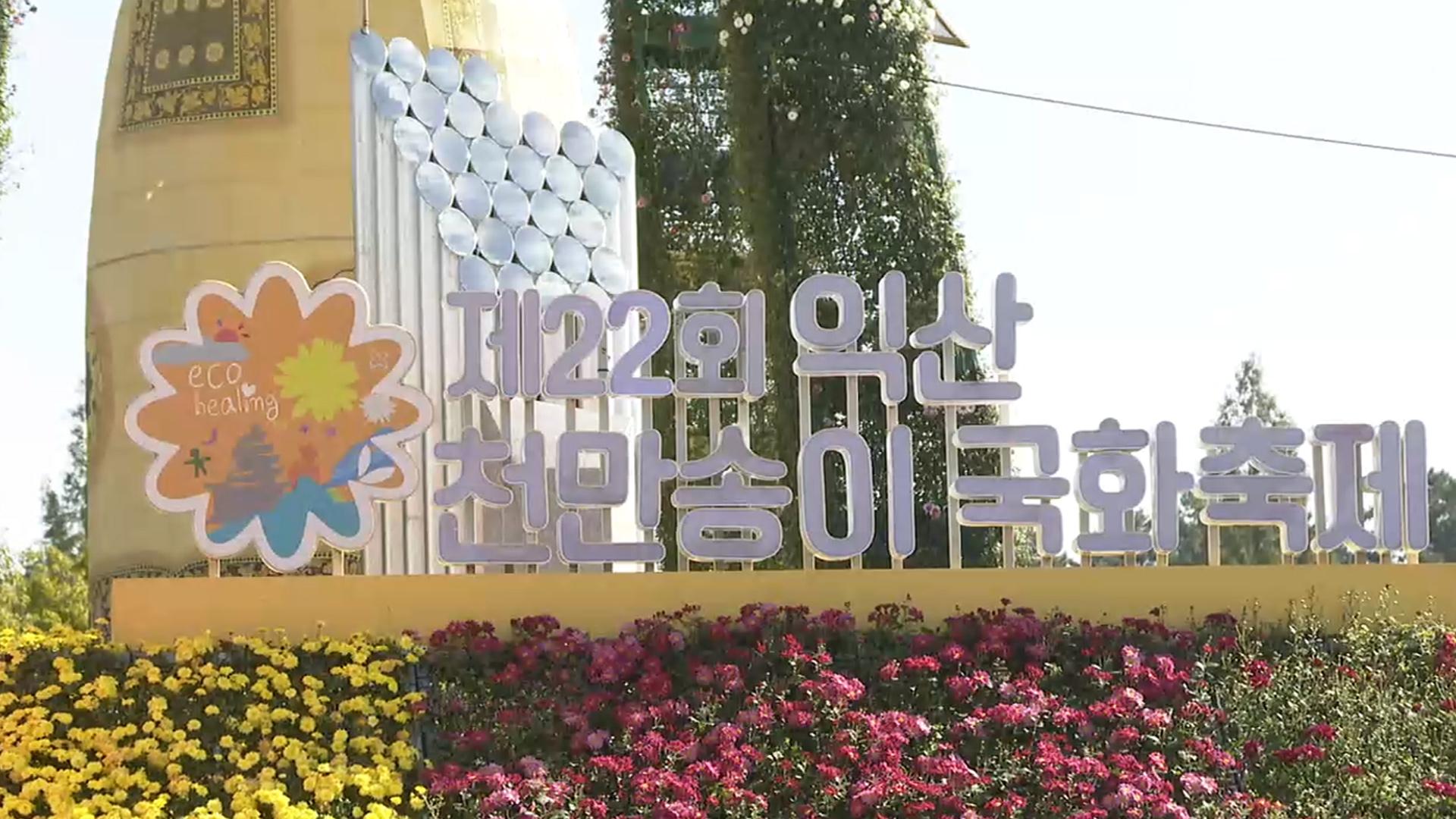 국화와 함께 물드는 익산…천만송이 국화축제 활짝