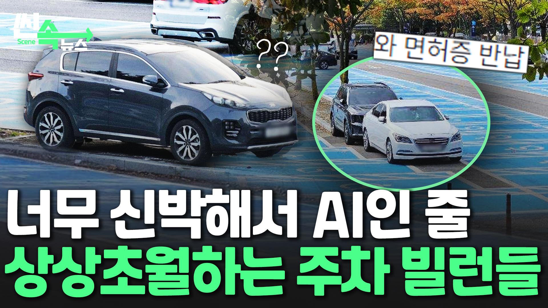 [온라인카지노 벌금 벳무브온라인카지노 벌금 벳무브] '우리 동네 주차 빌런' 누가누가 더 양심 없나 대회 열었나