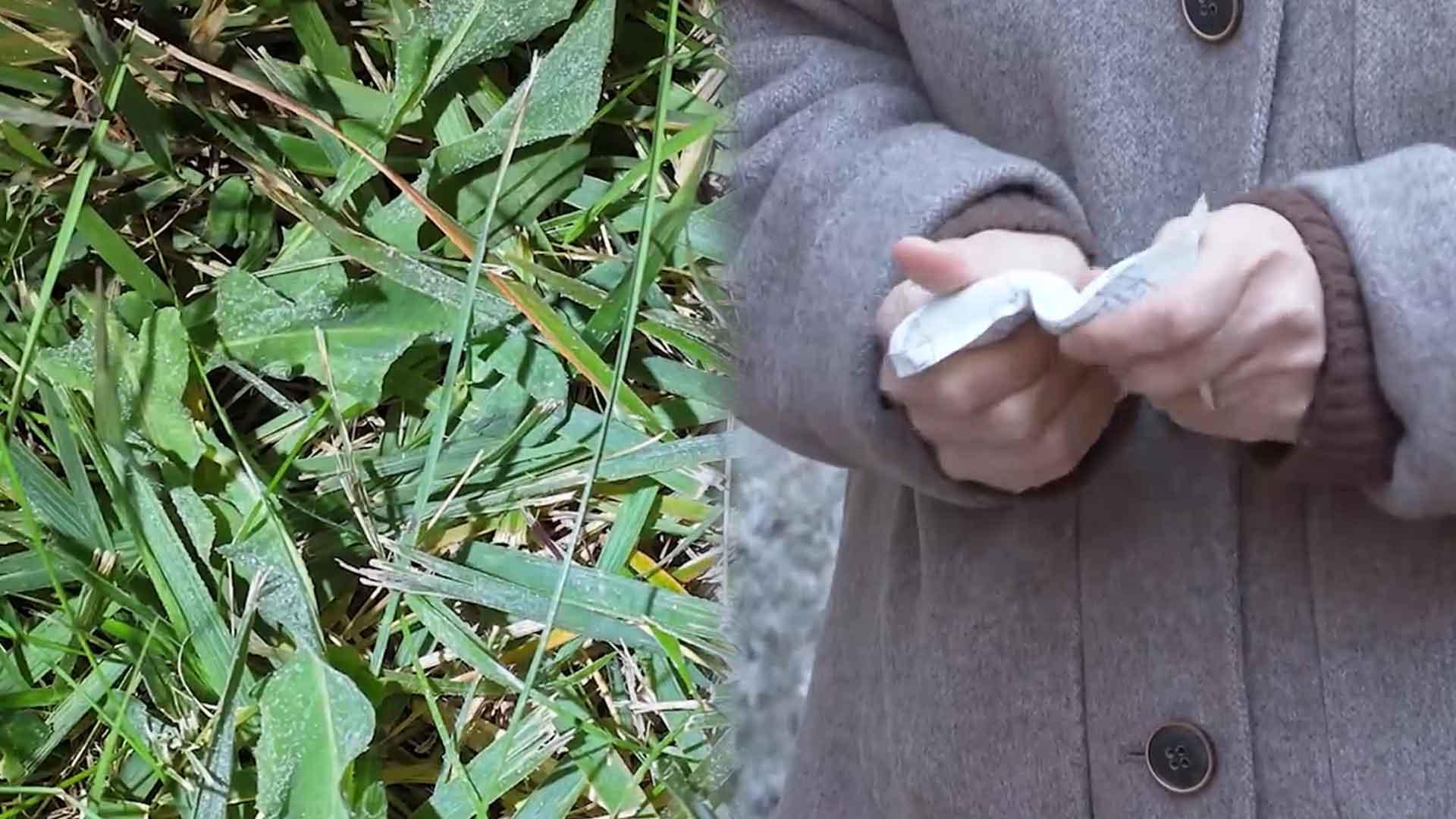 서울도 서리·얼음 '초겨울'…온라인카지노 라이센스 벳위즈까지 찬 바람