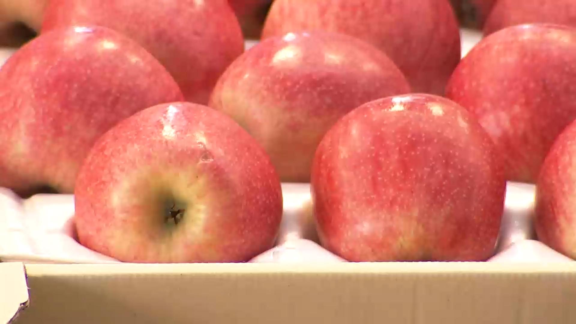 소비자원 "지난달 사과 품질·신용카드 관련 카지노 꽁 머니 급증"