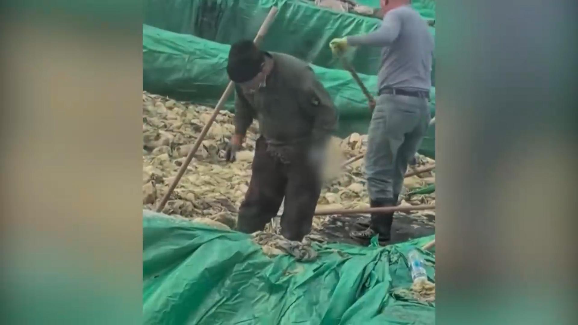 中 <em class='find'샌즈 카지노 사이트</em 작업장서 담배 피고 침 뱉고…또 위생논란