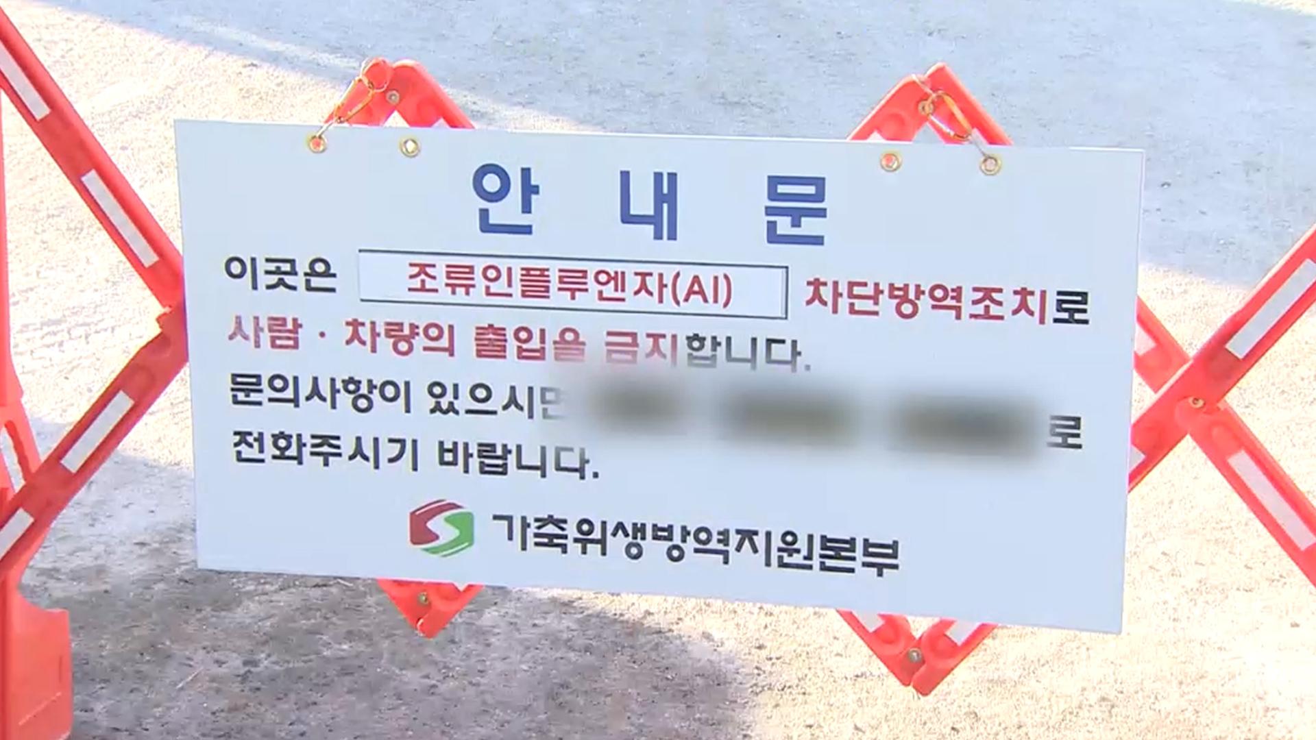 군산 만경강 하류서 올 동절기 첫 고병원성 AI 발생