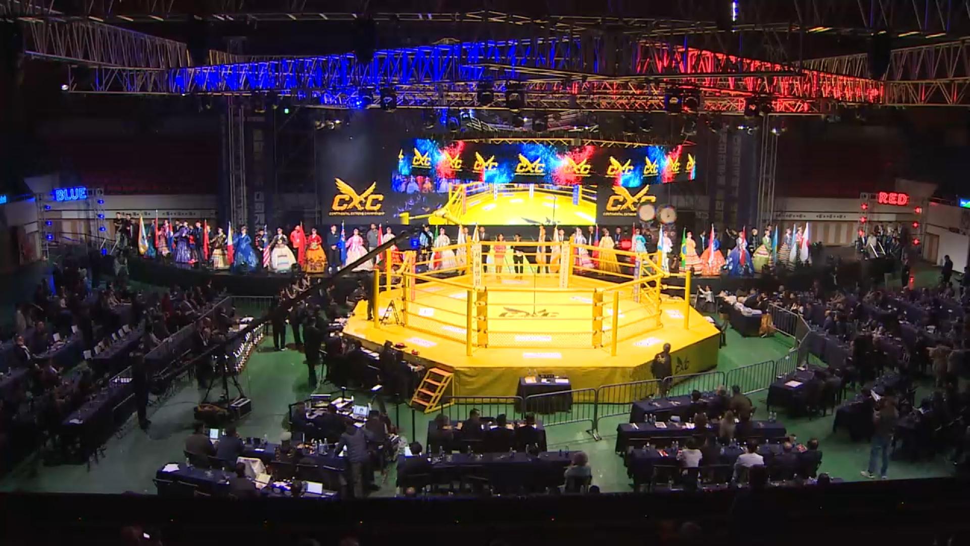 APEC 기념 '평화의 링' 세계종합격투기대회 개최