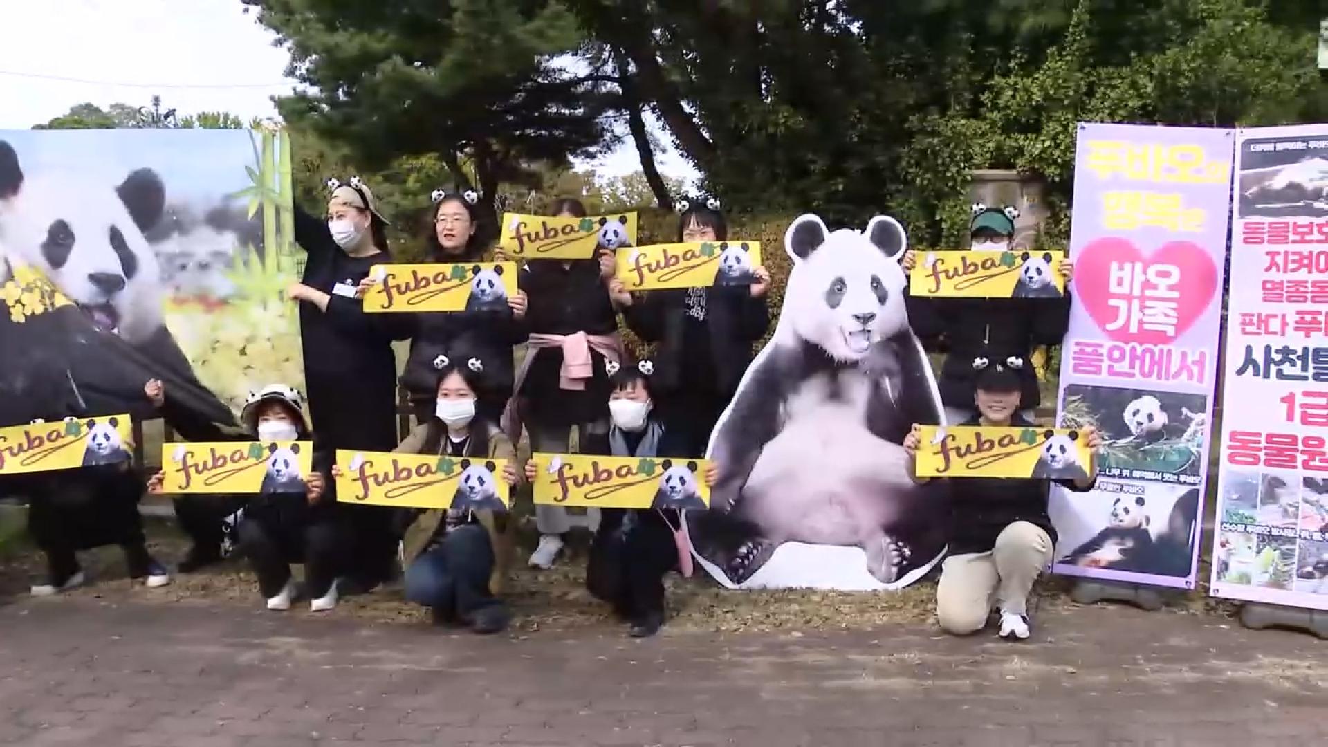 "<em class='find'푸온라인카지노 라이센스 벳엔드</em 돌아와!"…팬들 시진핑 방한 경주서 집회