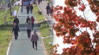 가을·겨울 날씨 반복…주말부터 또 추워진다