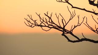 내일 종일 찬 바람…모레 영하권 초겨울 추위