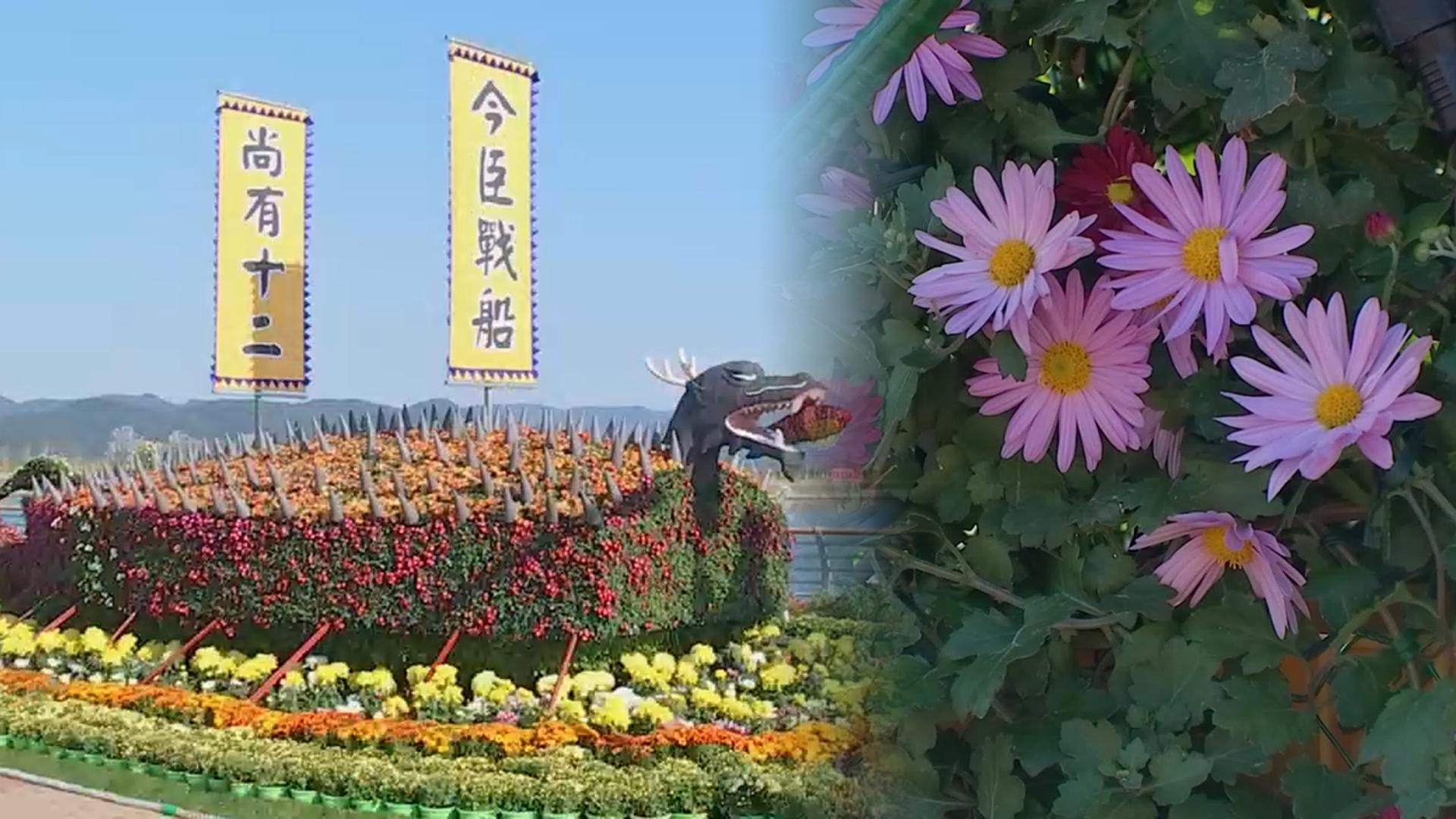 17만본 '온라인카지노 쿠폰 벳엔드 향연'…마산 가고파 온라인카지노 쿠폰 벳엔드축제