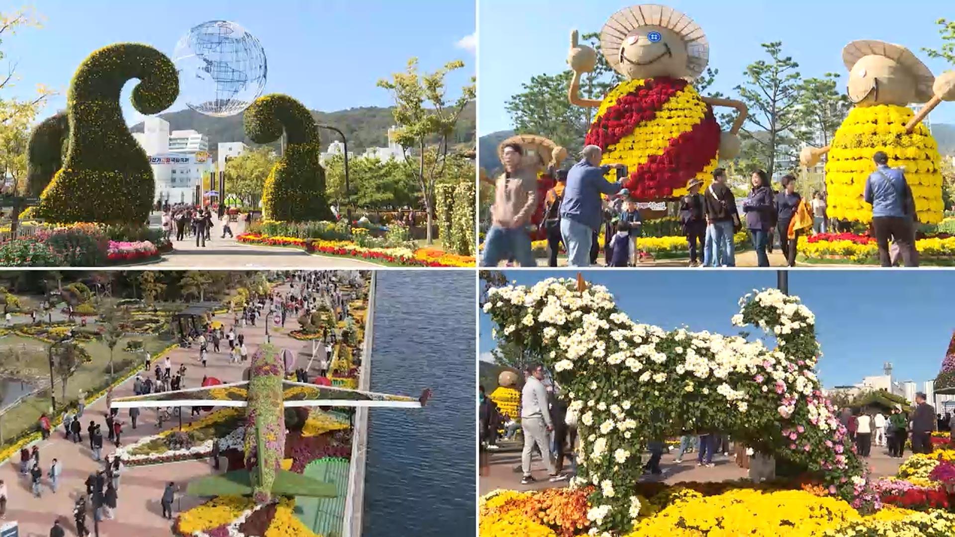 "가을 향기 가득"…마산 가고파 온라인카지노 쿠폰 벳엔드축제 '성황'