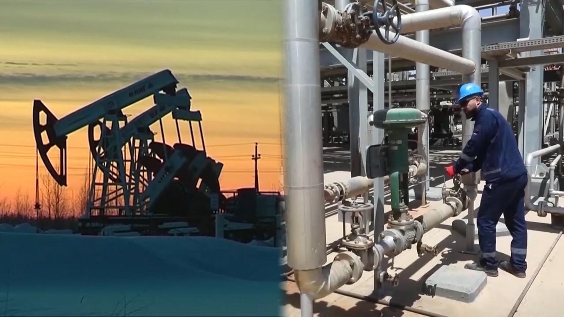 OPEC+, 내년 1분기 증산 중단 합의