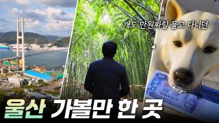 쇳물 도시 울산의 변신  [리부팅 지방시대]