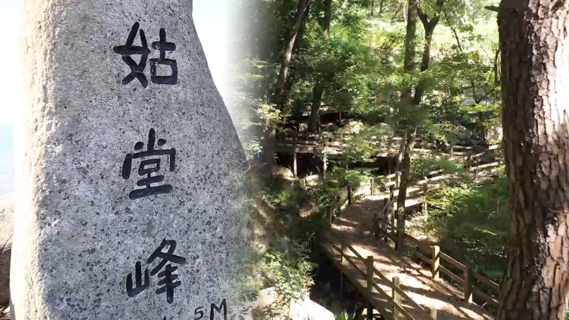 24번째 '국립공원' 부산 온라인카지노 후기 유니88…"명품 관광 자원" 기대