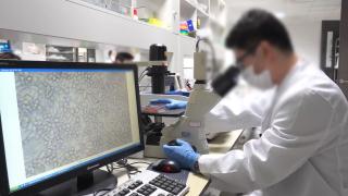 한국이 기른 인재 줄줄이 해외로?…"연구 선진화 필요"