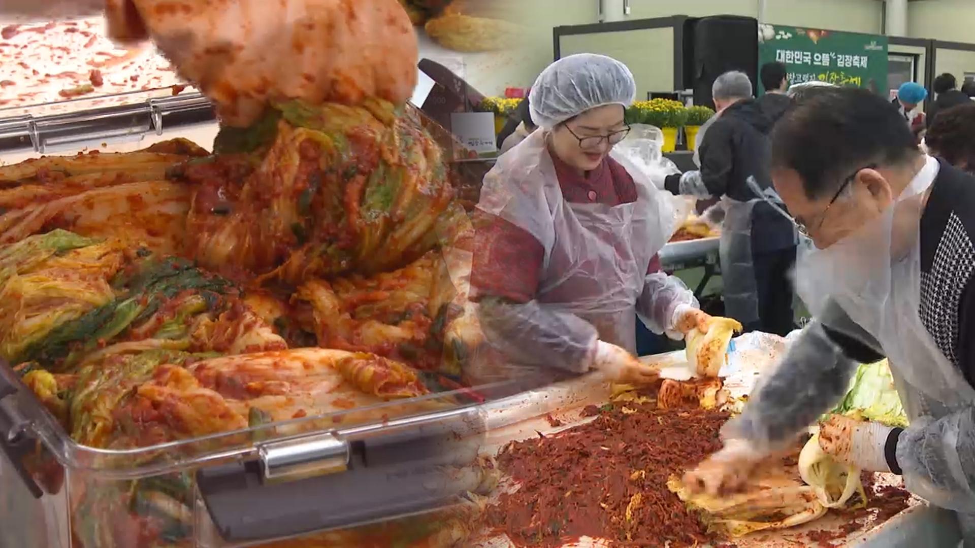 "강원 온라인 카지노 불법의 특별한 맛"…평창 고랭지 온라인 카지노 불법축제 개막