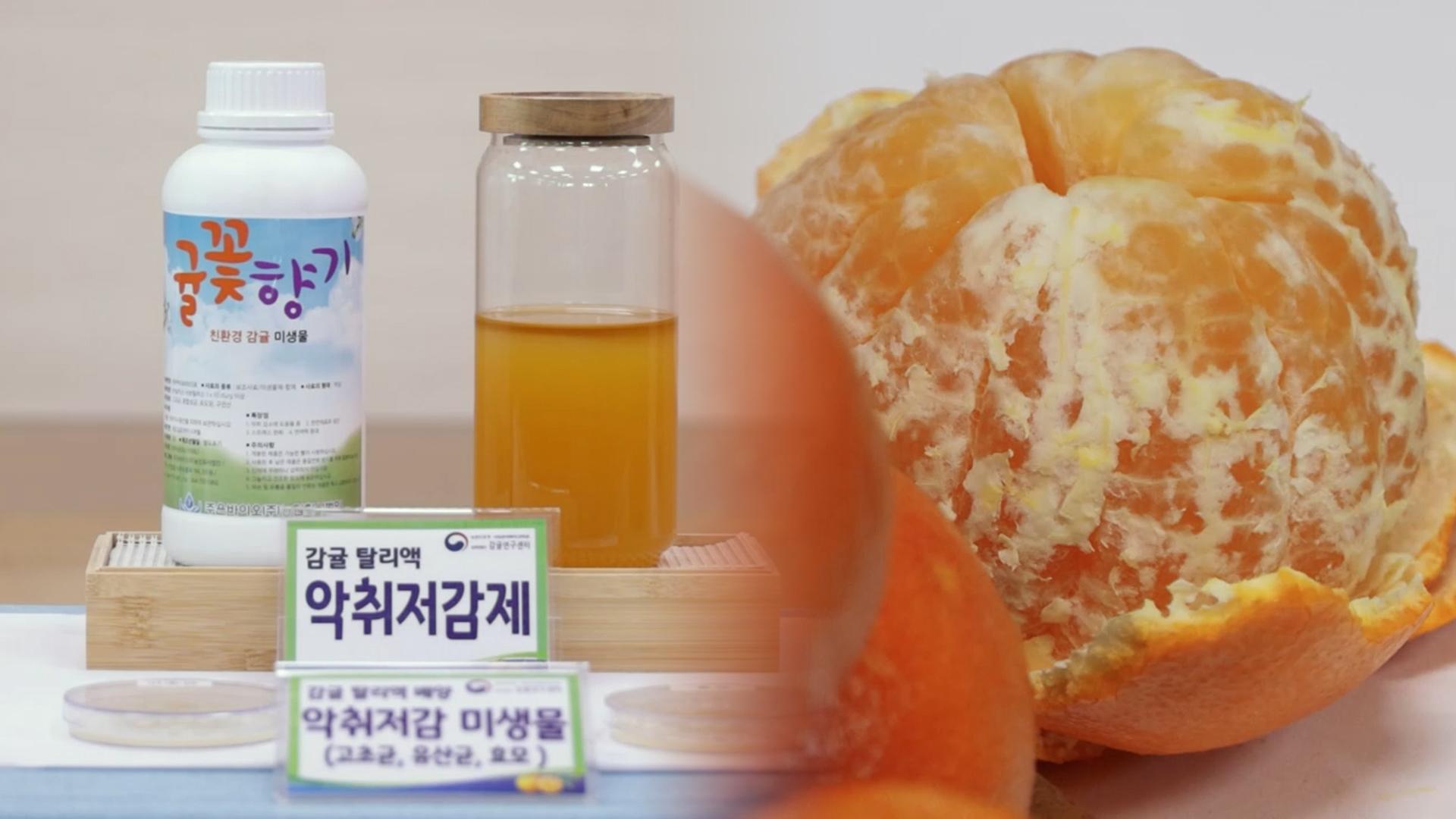 버려지던 감귤 부산물…친환경 농자재로 재탄생