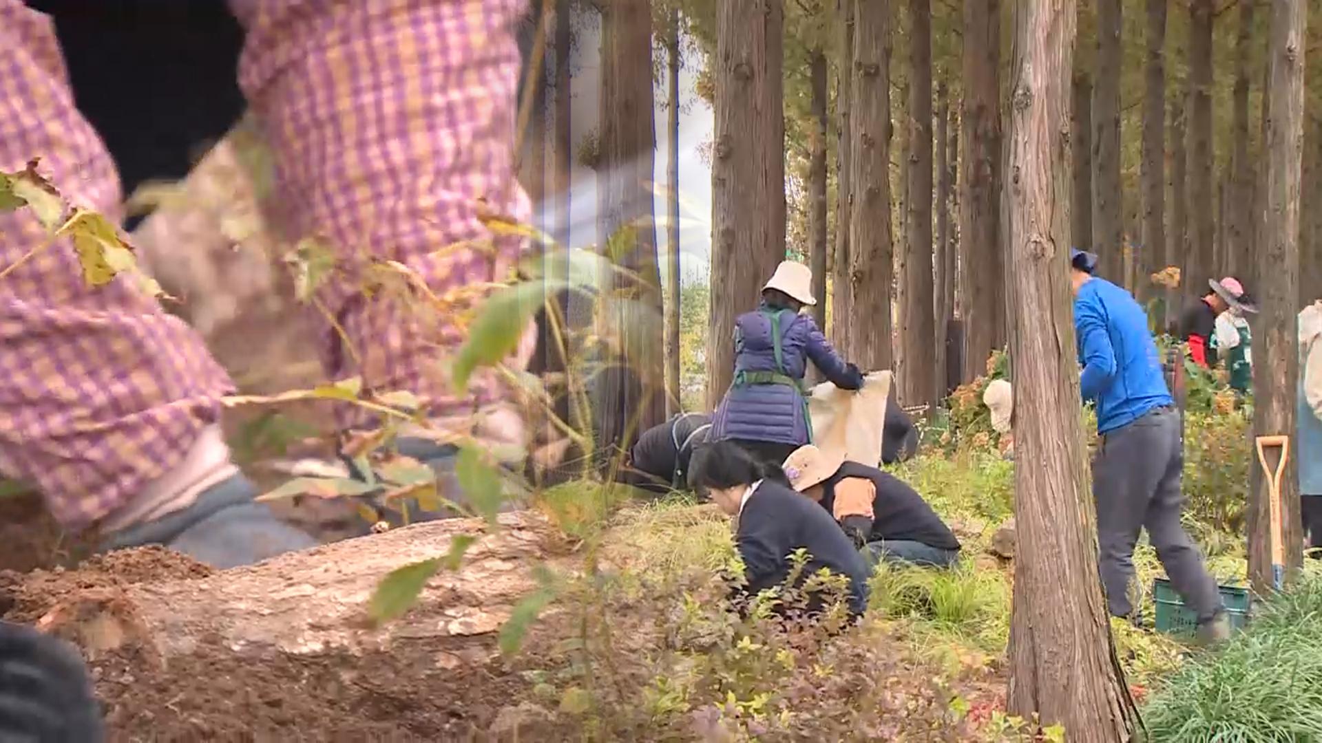 시민이 만드는 도심 정원…2025 <em class='find'가드닝</em <em class='find'온라인 카지노 합법 국가</em <em class='find'챌린지</em