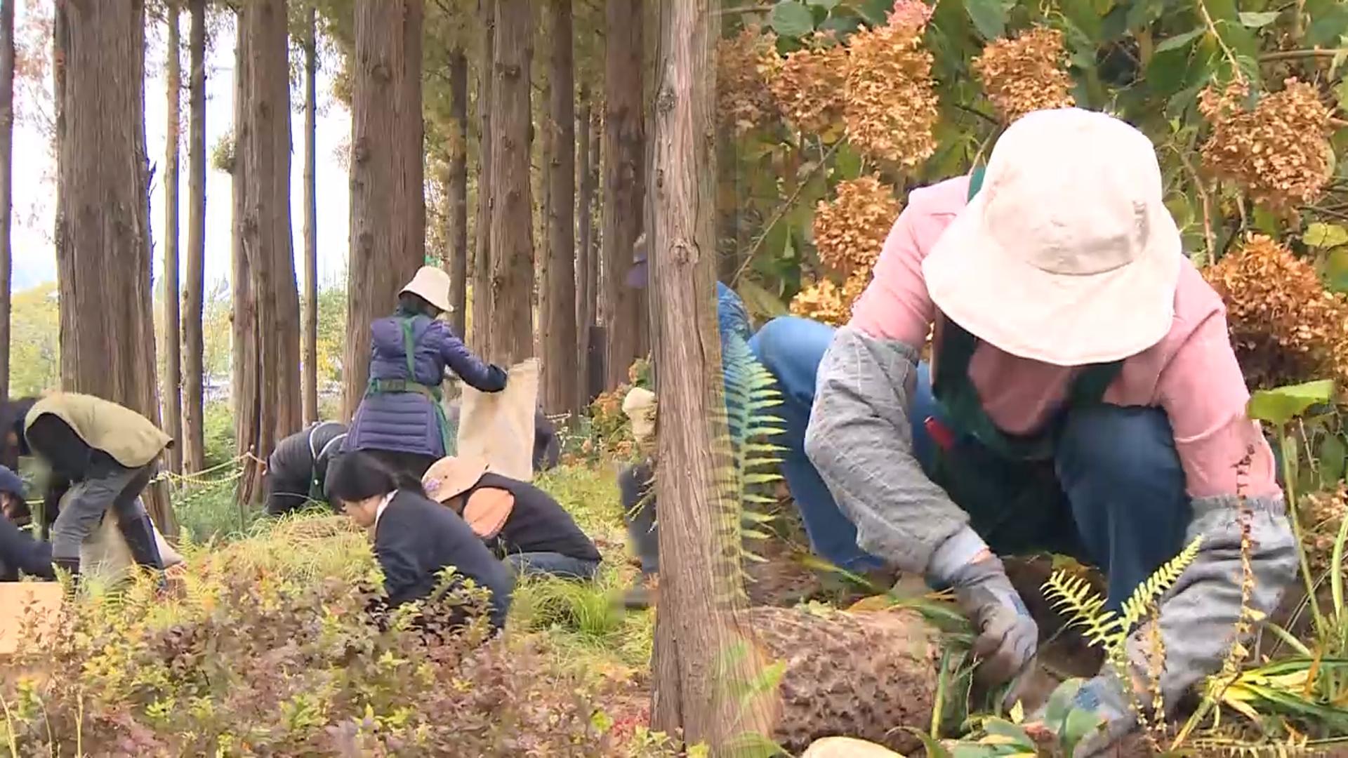 도심 속 정원 축제…2025 <em class='find'가드닝</em <em class='find'온라인 카지노 합법 국가</em <em class='find'챌린지</em