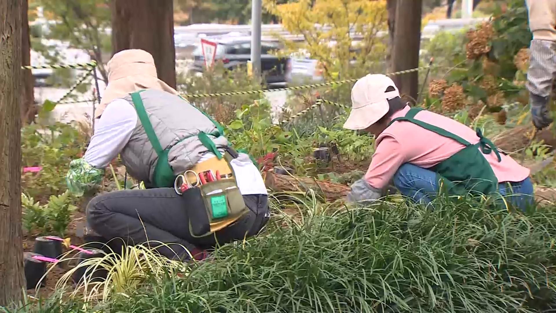 "도심 속 정원 만들어요"…2025 <em class='find'가드닝</em <em class='find'온라인 카지노 합법 국가</em <em class='find'챌린지</em
