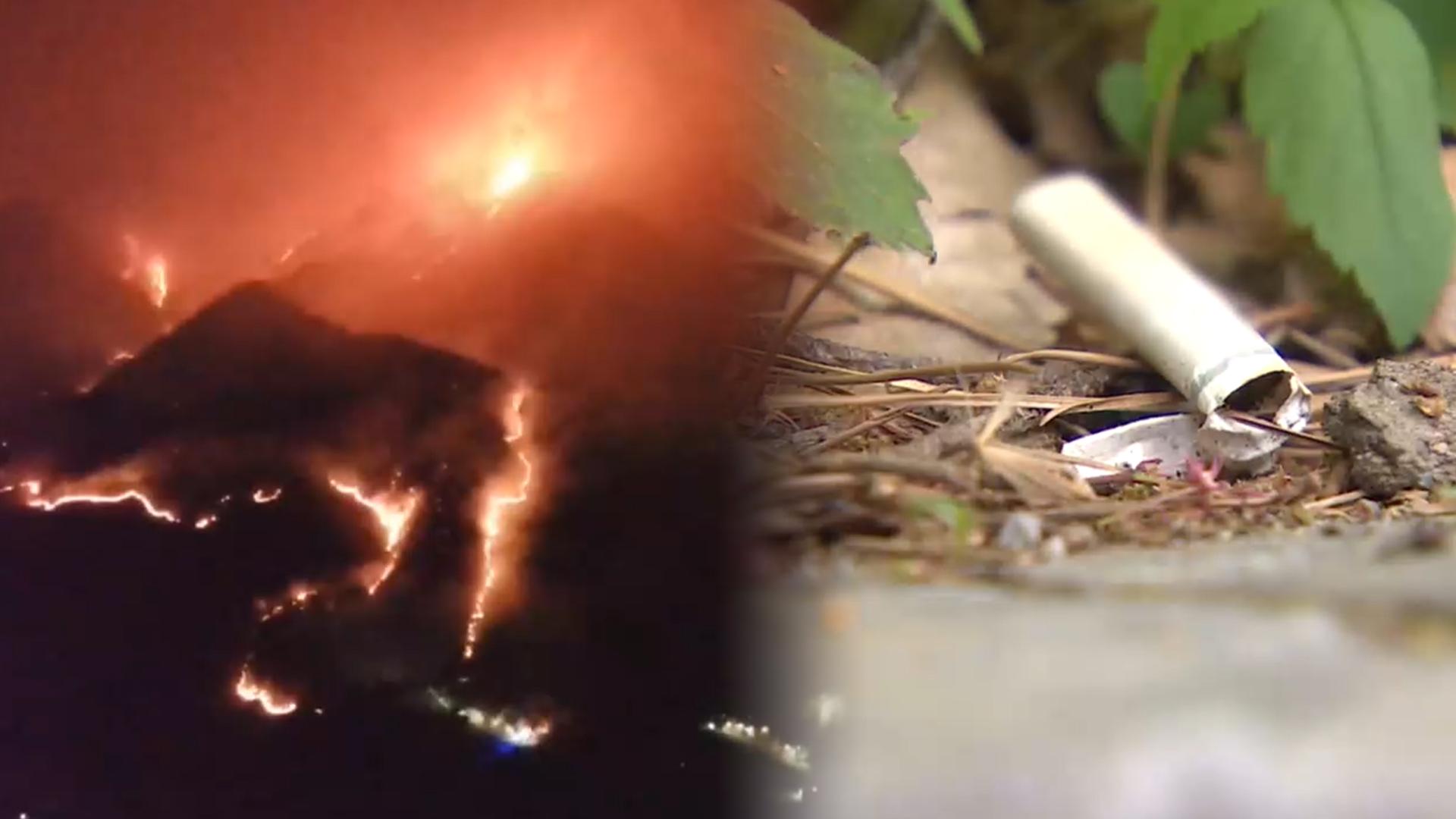 돌아온 가을철 산불조심기간…"담뱃불·소각 주의"