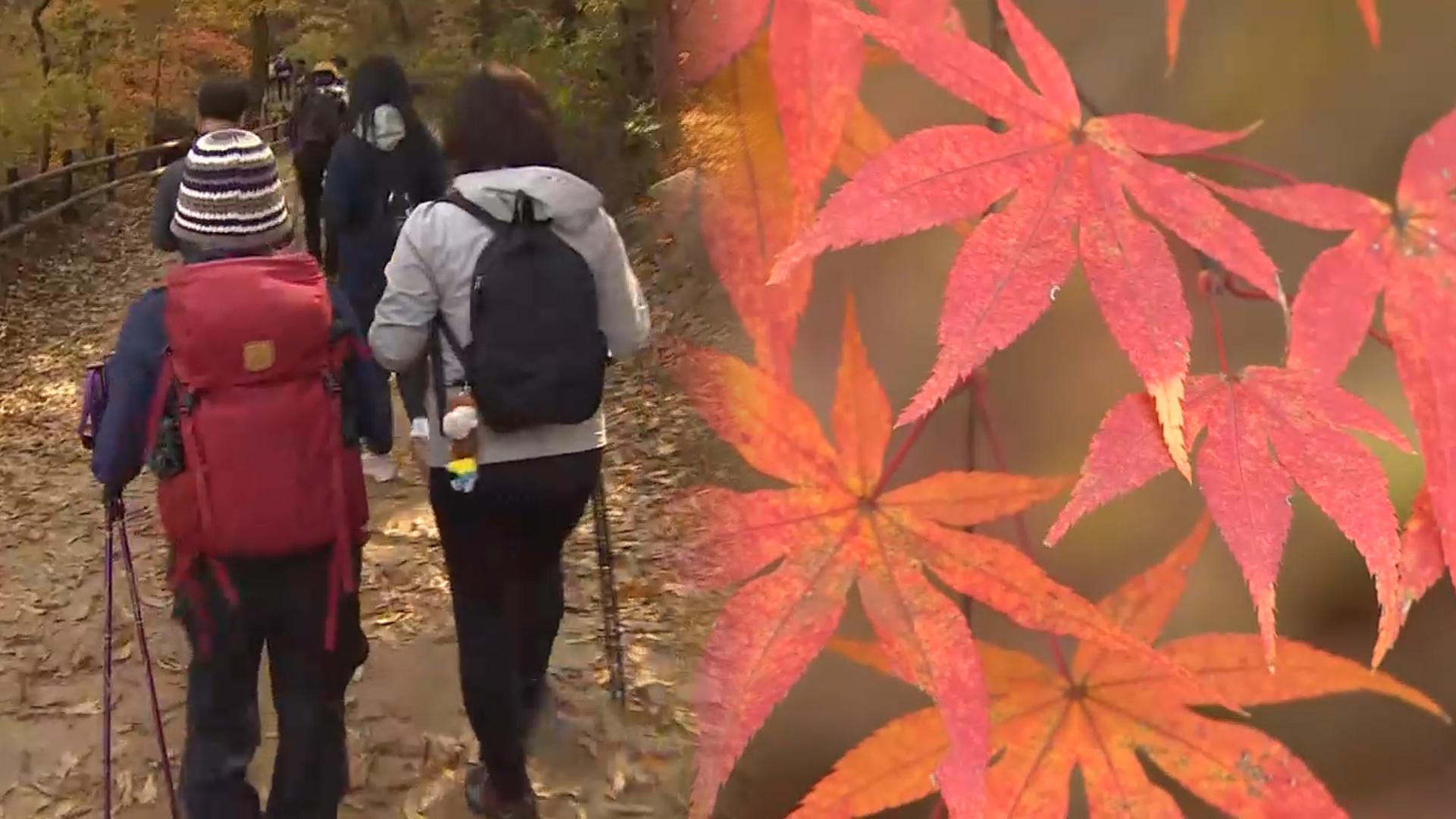 완연한 가을 해외 온라인카지노 순위 절정…북한산 나들이객 북적