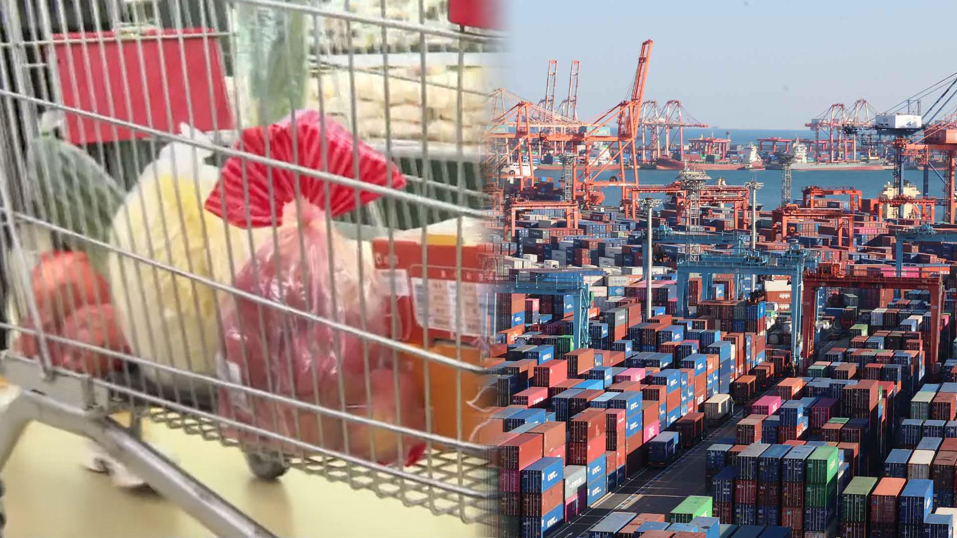 KDI "온라인카지노 불법 유니벳 중심 경기 개선…수출 증가세 둔화"