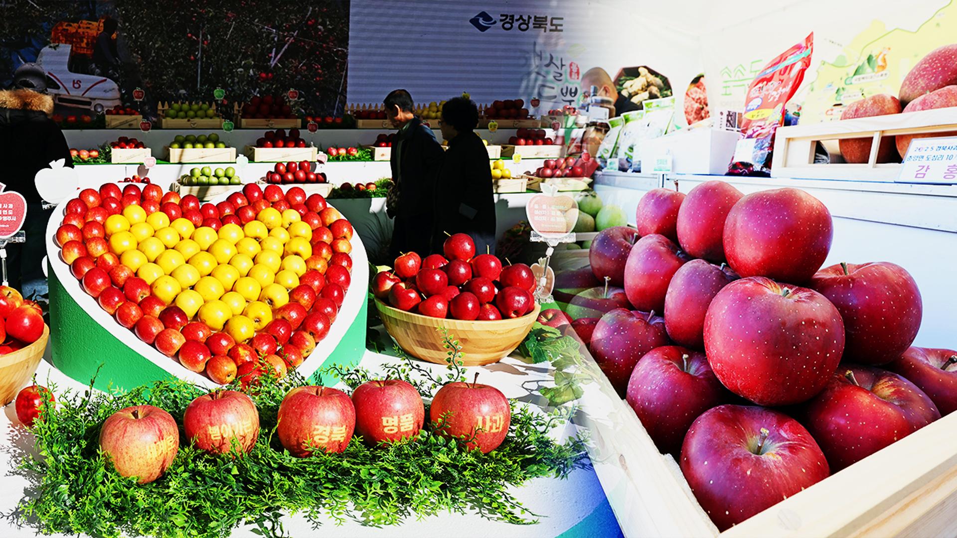 '꼭지 달린 온라인카지노 합법사이트' 맛보세요…경북온라인카지노 합법사이트 홍보행사